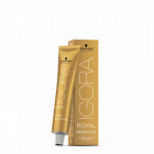 Coloration d'oxydation Igora Royal Absolutes 7-50 Blond doré naturel