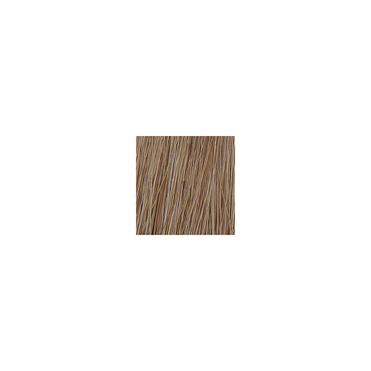 P3 Color 8.1 blond clair cendre 60ml