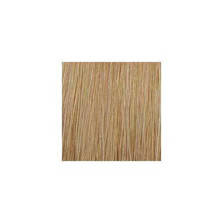 P3 Color 10.3 blond platine dore 60ml