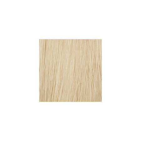 P3 Color 10 blond platine 60ml