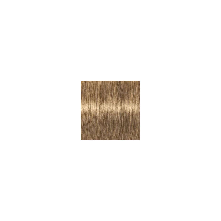 Coloration d'oxydation Igora Royal Absolutes 8-50 Blond clair doré naturel