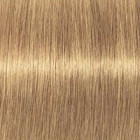 Coloration d'oxydation Igora Royal Absolutes 9-50 Blond très clair doré naturel