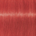 Coloration d'oxydation Igora Royal Mix 0-88 Rouge