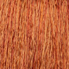 Coloration d'oxydation PURE7 7.4 Blond cuivré