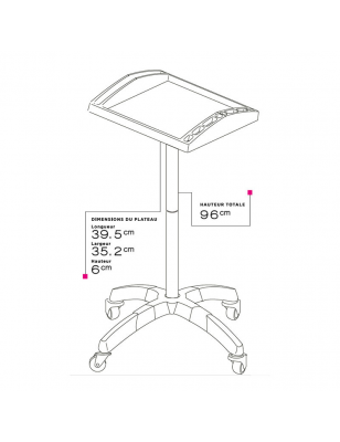 Table de service plateau Grise transparente 39.5x32.5x6cm