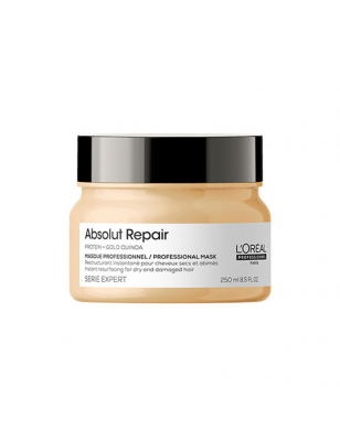 Masque restructurant Absolut Repair