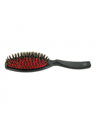 Brosse pneumatique en sanglier