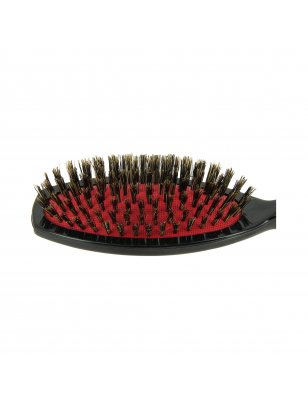 Brosse pneumatique en sanglier