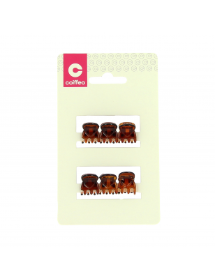 Mini pince marron x6