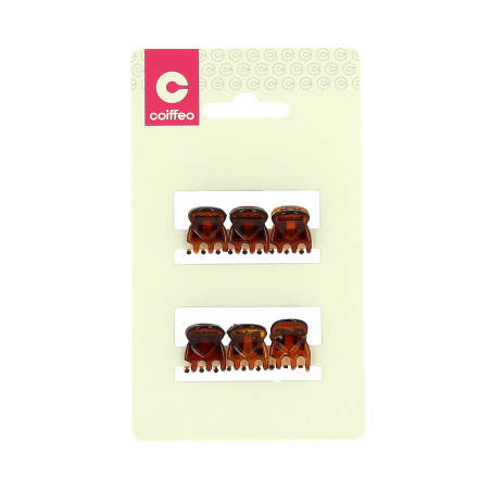 Mini pince marron x6