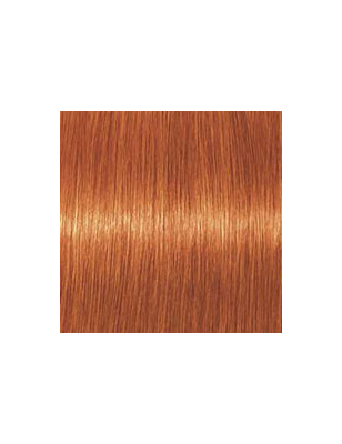 Coloration d'oxydation Igora Royal 8-77 Blond clair cuivré extra