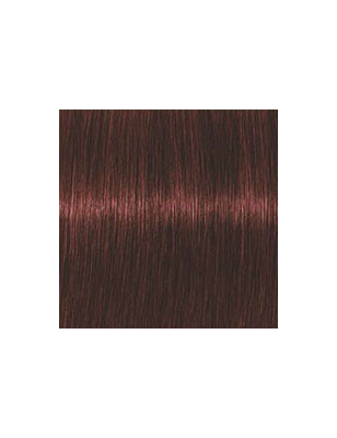 Coloration d'oxydation Igora Royal Absolutes 5-80 Chatain clair rouge naturel