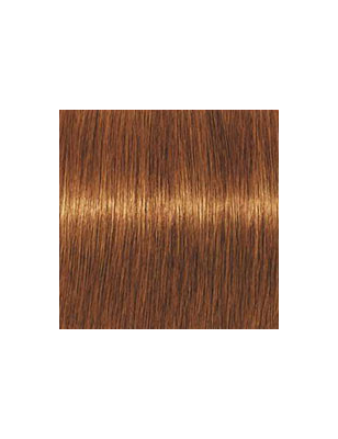 Coloration d'oxydation Igora Royal Absolutes 7-70 Blond cuivré naturel