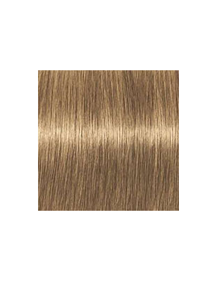 Coloration d'oxydation Igora Royal Absolutes 8-50 Blond clair doré naturel