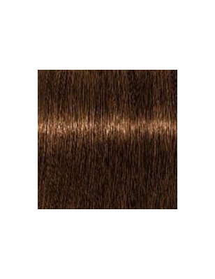 Blond clair marron naturel 8-60 Igora Royal Absolutes