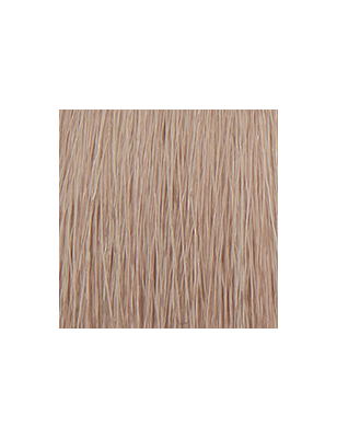 P3 Color 9.21 blond tres clair irise cendre 60ml