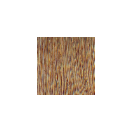 P3 Color 8 blond clair 60ml