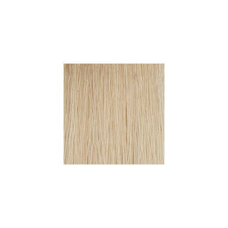 P3 Color 11S super blond platine 60ml