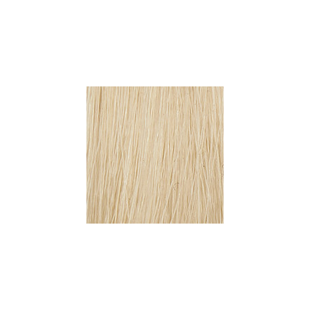 P3 Color 10 blond platine 60ml