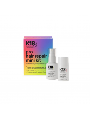 Mini kit Pro Hair Repair