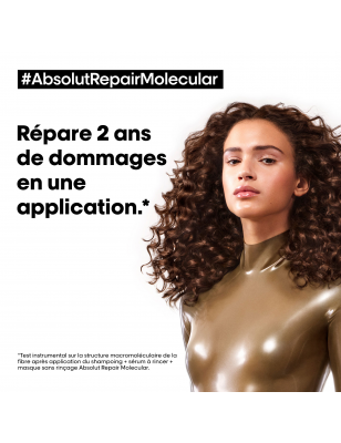 Pré-traitement concentré professionnel Absolut Repair Molecular