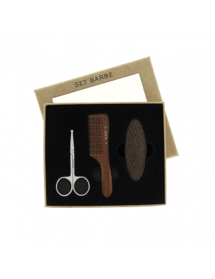 Set de barbe ciseaux - peigne - brosse