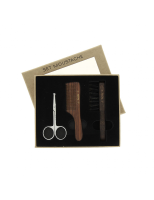 Set moustache - ciseaux - peigne - brosse