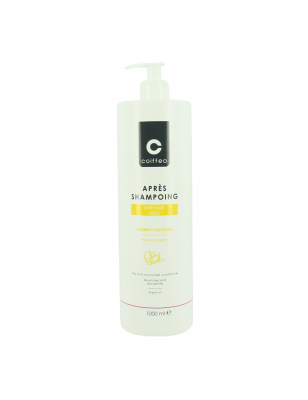 Après-shampooing cheveux secs