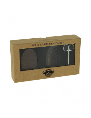 Set d'entretien barbe (ciseaux + peigne + brosse)