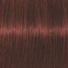 Coloration d'oxydation Igora Royal Absolutes 6-80 Blond foncé rouge naturel