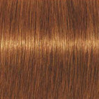 Coloration d'oxydation Igora Royal Absolutes 7-70 Blond cuivré naturel