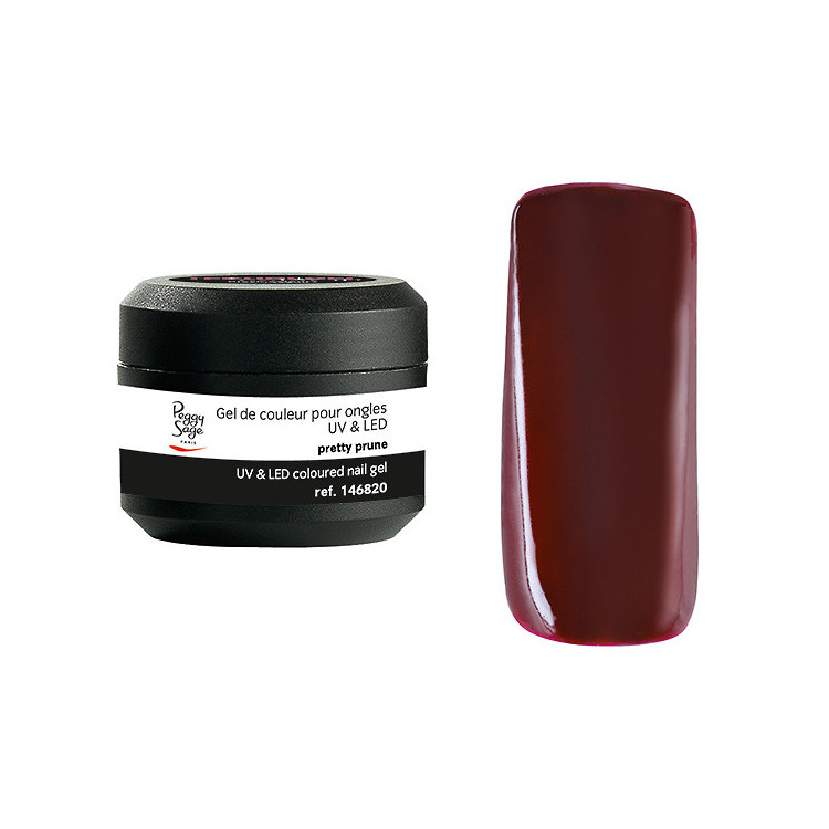 Gel de couleur UV & LED Technigel Color It Pretty prune