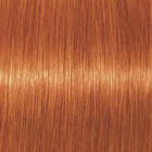 Coloration d'oxydation Igora Royal 8-77 Blond clair cuivré extra