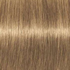 Coloration d'oxydation Igora Royal Absolutes 8-50 Blond clair doré naturel