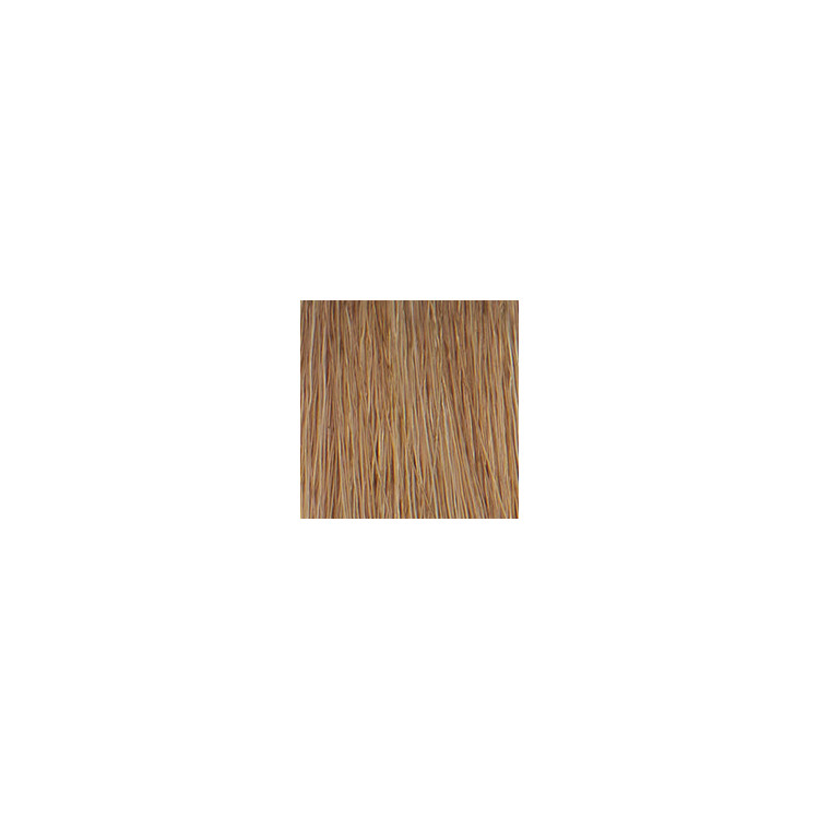 P3 Color 8 blond clair 60ml