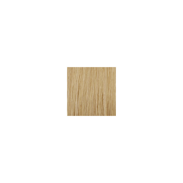 P3 Color 11.3 blond platine dore extra 60ml