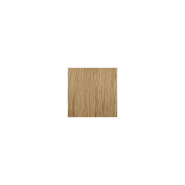 P3 Color 10.3 blond platine dore 60ml