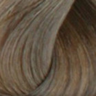 Coloration ton sur ton Blond Clair Cendré 8.1