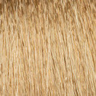 Coloration d'oxydation PURE7 9.31 Blond très clair doré cend