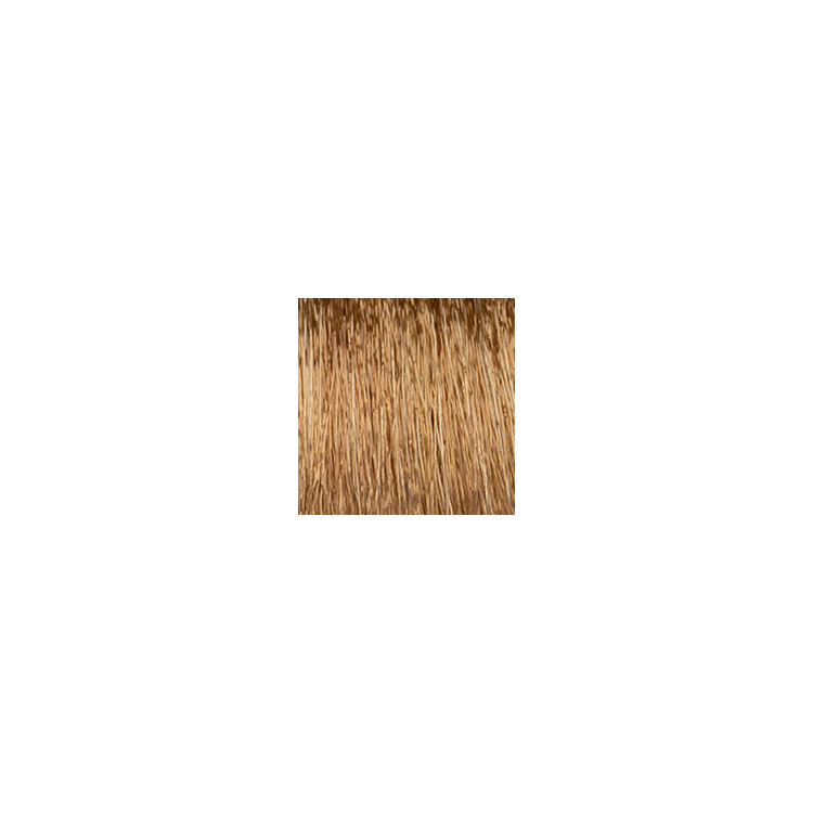 Coloration d'oxydation PURE7 8.31 Blond clair doré cendré