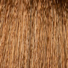 Coloration d'oxydation PURE7 8.3 Blond clair doré